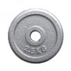 Cast Plates Standard 29mm Hole - 2.5kg