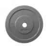 Olympic Coloured Bumper Plates (each) - 5kg Grey