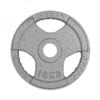 Olympic Cast Iron Plates - 10kg