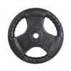 Rubber Coated Standard Plates 29mm Bore Hole - 10kg