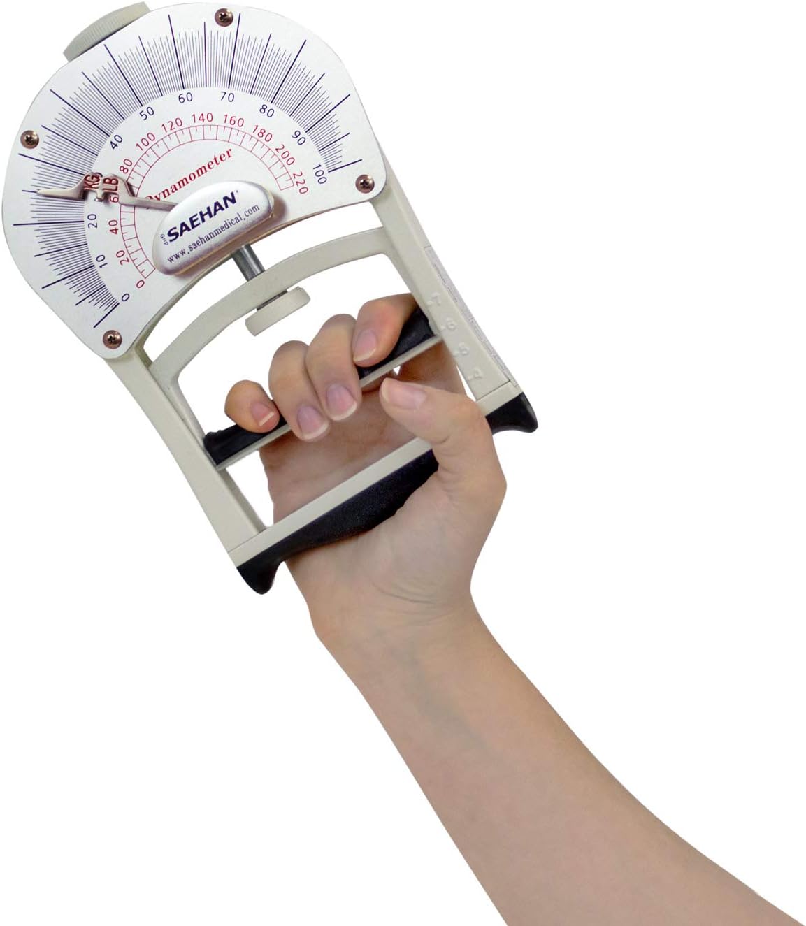 Saehan Dynamometer Grip Test Model